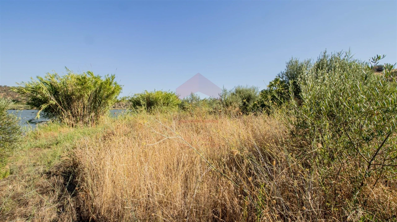 Terreno Agricola ou Rústico para Venda em Alcoutim e Pereiro Foto 8