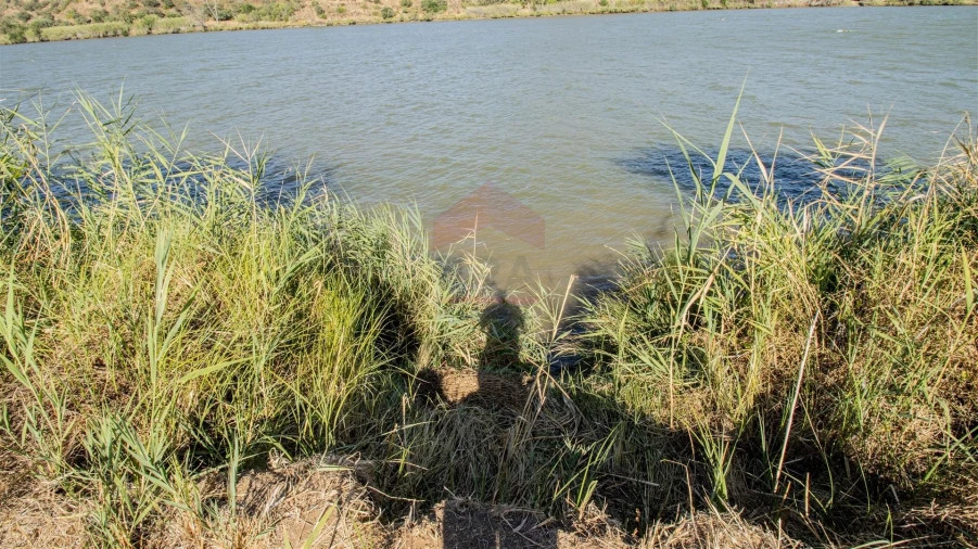 Terreno Agricola ou Rústico para Venda em Alcoutim e Pereiro Foto 5