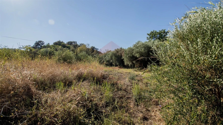 Terreno Agricola ou Rústico para Venda em Alcoutim e Pereiro Foto 7