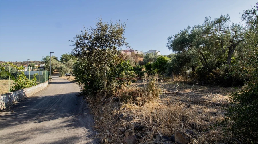 Terreno Agricola ou Rústico para Venda em Odeleite Foto 4