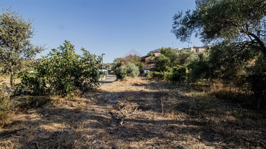 Terreno Agricola ou Rústico para Venda em Odeleite Foto 3