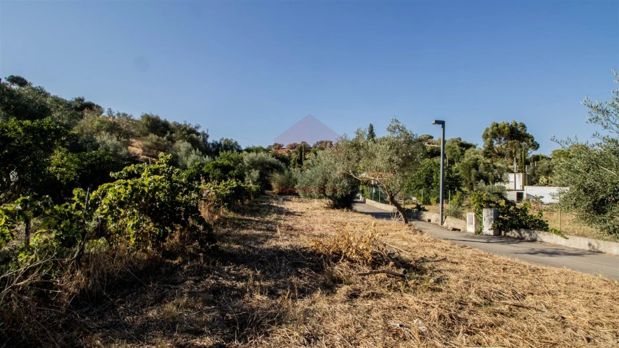 Terreno Agricola ou Rústico para Venda em Odeleite Foto 1