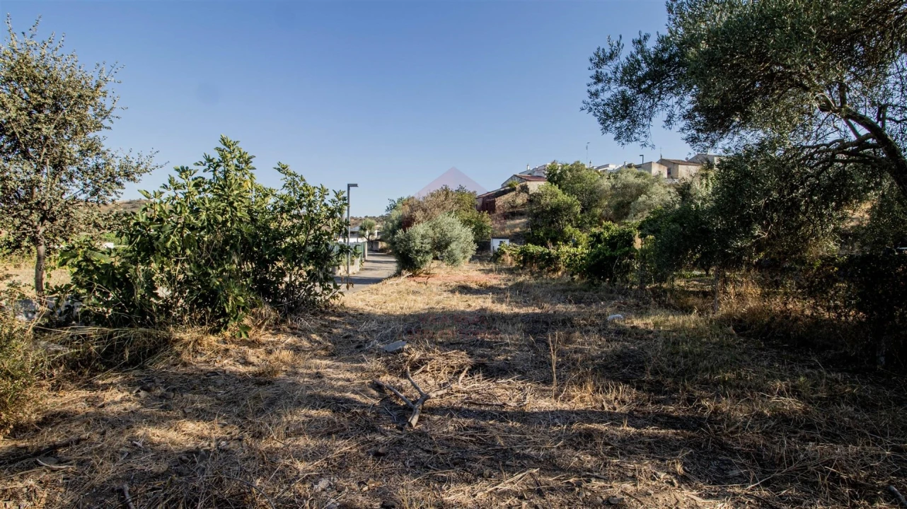 Terreno Agricola ou Rústico para Venda em Odeleite Foto 3