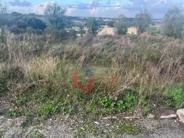 Terreno para Venda em Batalha