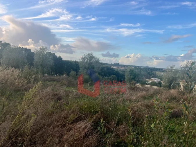 Terreno para Venda em Batalha Foto 3