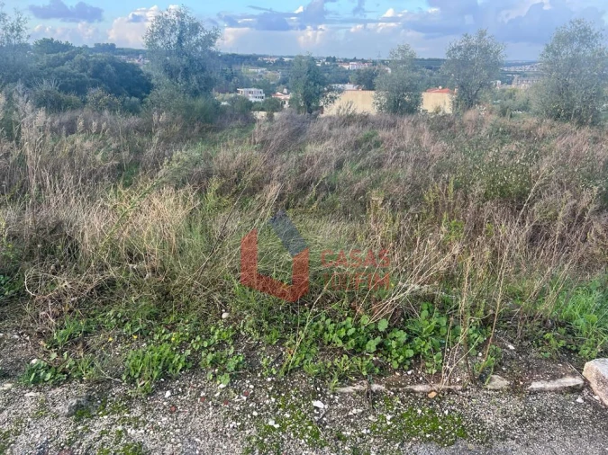 Terreno para Venda em Batalha Foto 4