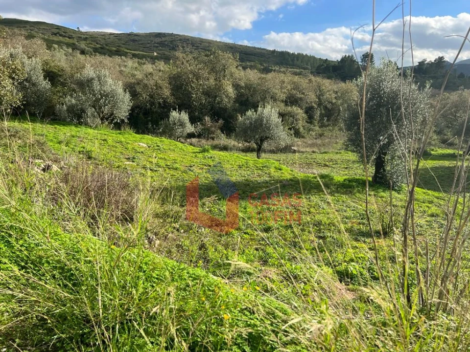 Terreno para Venda em Porto de Mós - São João Baptista e São Pedro Foto 1