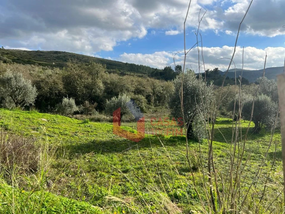 Terreno para Venda em Porto de Mós - São João Baptista e São Pedro Foto 3