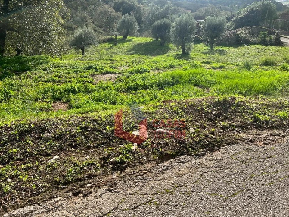 Terreno para Venda em Porto de Mós - São João Baptista e São Pedro Foto 5