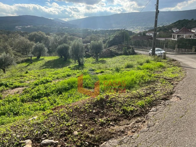 Terreno para Venda em Porto de Mós - São João Baptista e São Pedro Foto 4