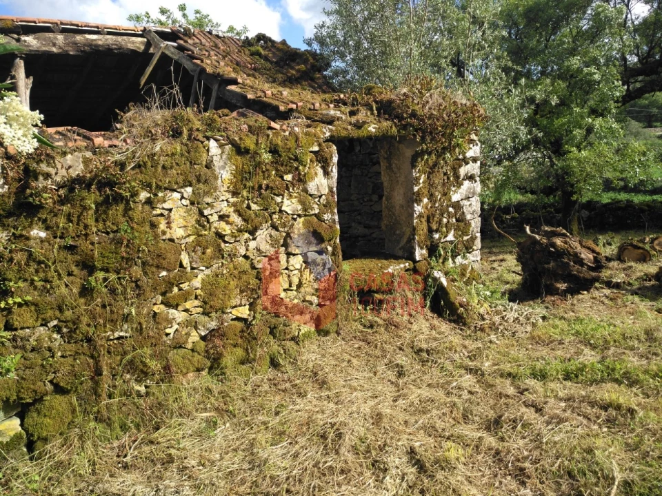 Moradia T3 para Venda em Serro Ventoso Foto 21