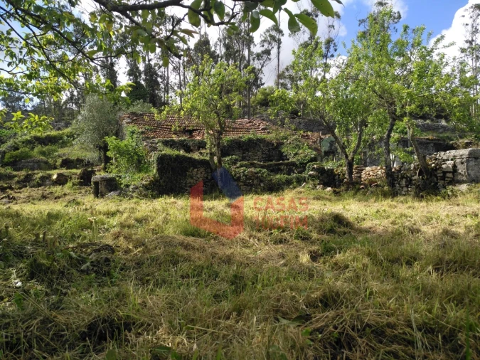 Moradia T3 para Venda em Serro Ventoso Foto 6