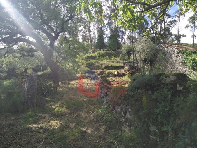 Moradia T3 para Venda em Serro Ventoso Foto 23