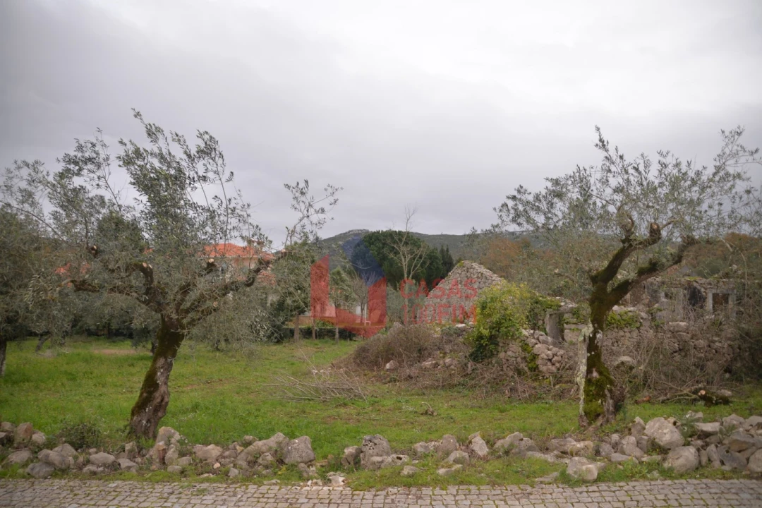 Terreno para Venda em Alvados e Alcaria Foto 1