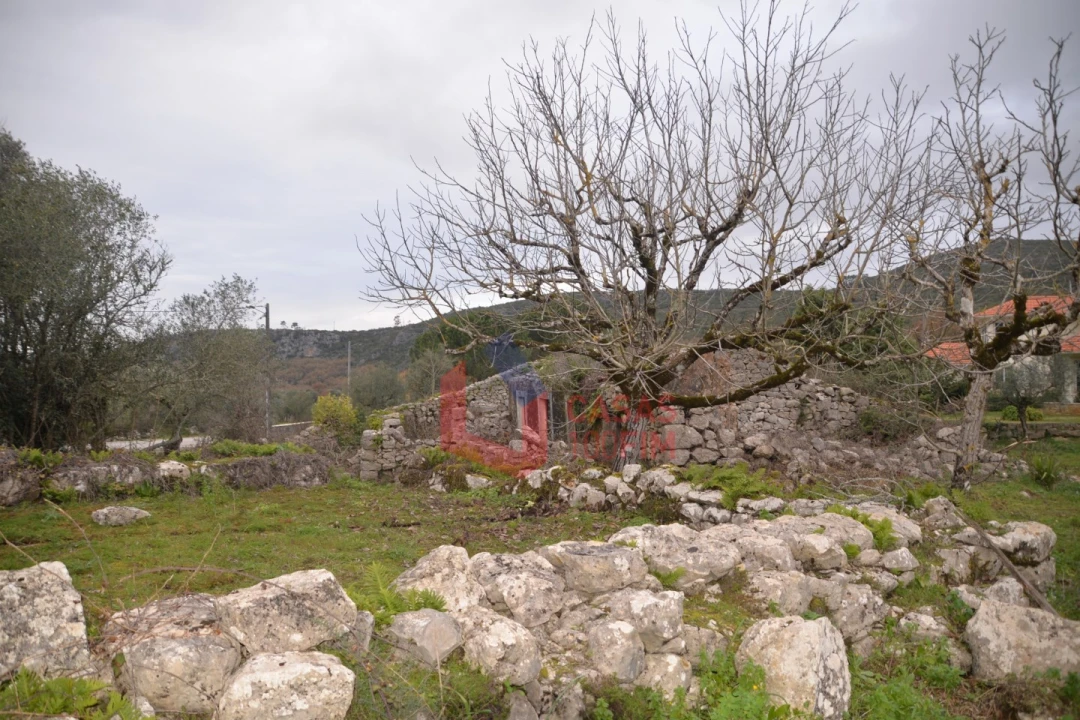 Terreno para Venda em Alvados e Alcaria Foto 2