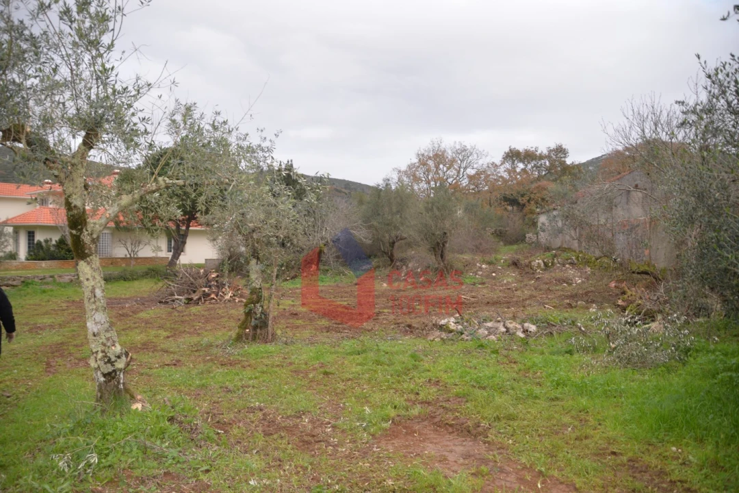 Terreno para Venda em Alvados e Alcaria Foto 3