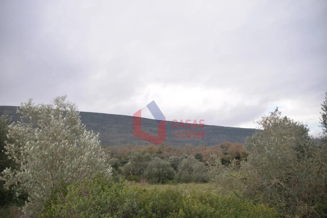 Terreno para Venda em Alvados e Alcaria Foto 9