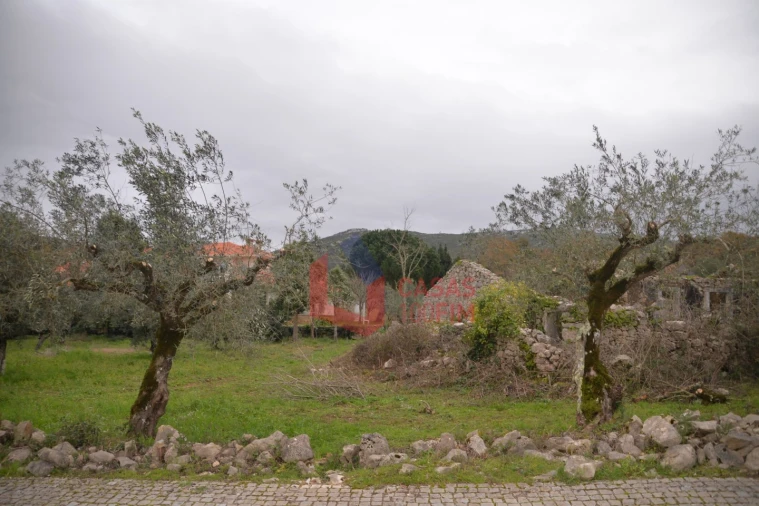Terreno para Venda em Alvados e Alcaria