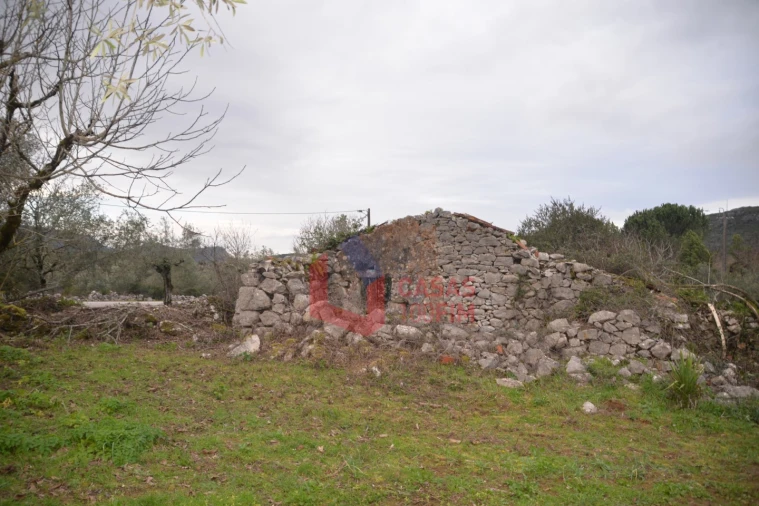 Terreno para Venda em Alvados e Alcaria Foto 4