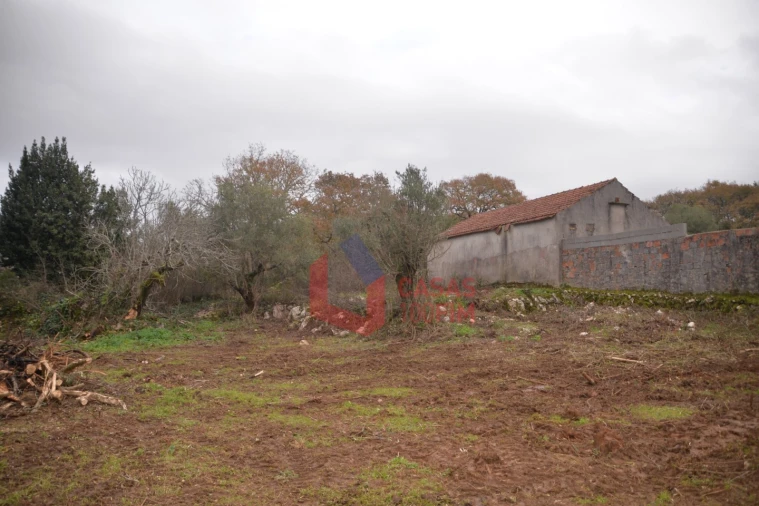 Terreno para Venda em Alvados e Alcaria Foto 5