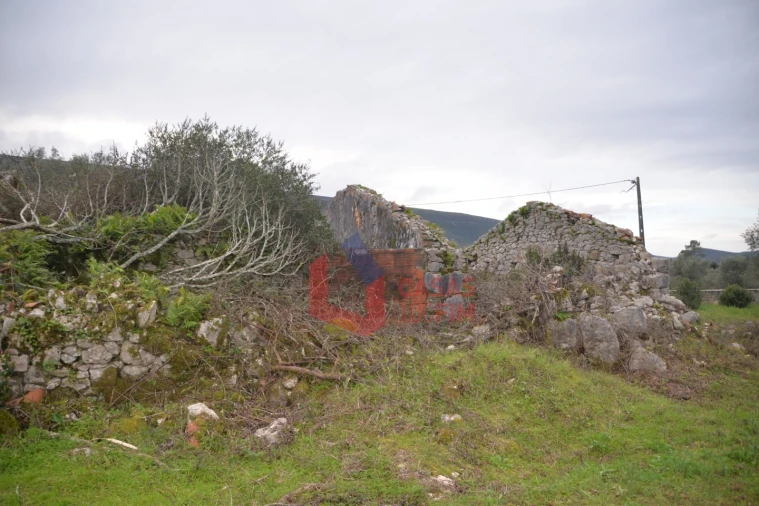 Terreno para Venda em Alvados e Alcaria Foto 6