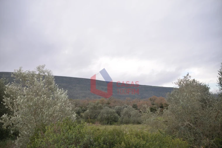 Terreno para Venda em Alvados e Alcaria Foto 9