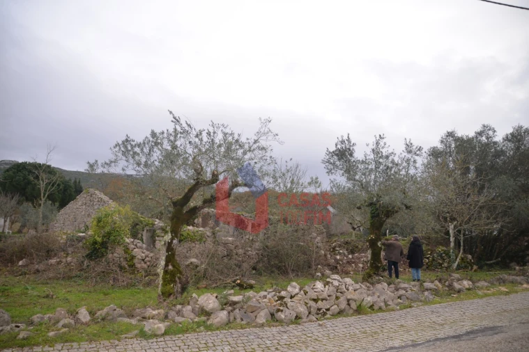 Terreno para Venda em Alvados e Alcaria Foto 10