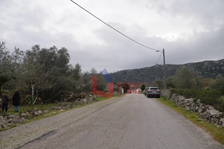 Terreno para Venda em Alvados e Alcaria Foto 11
