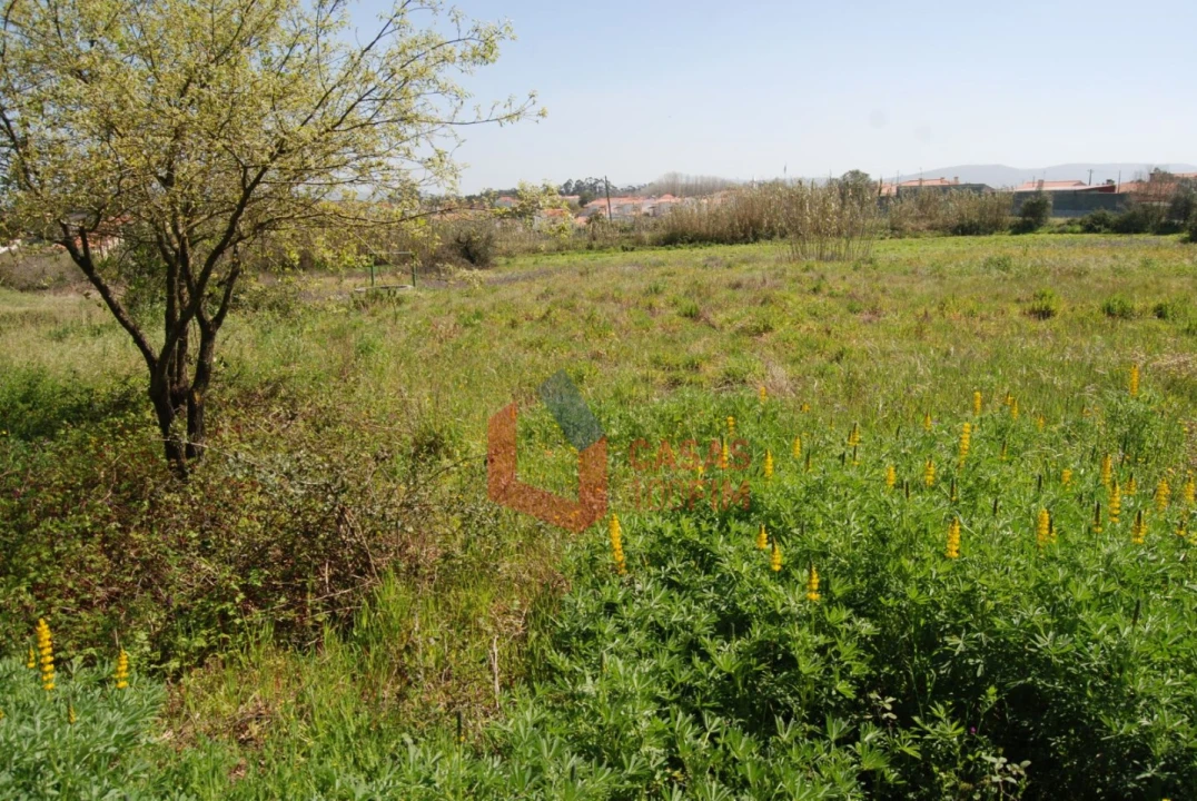 Terreno Agricola ou Rústico para Venda em Batalha Foto 3