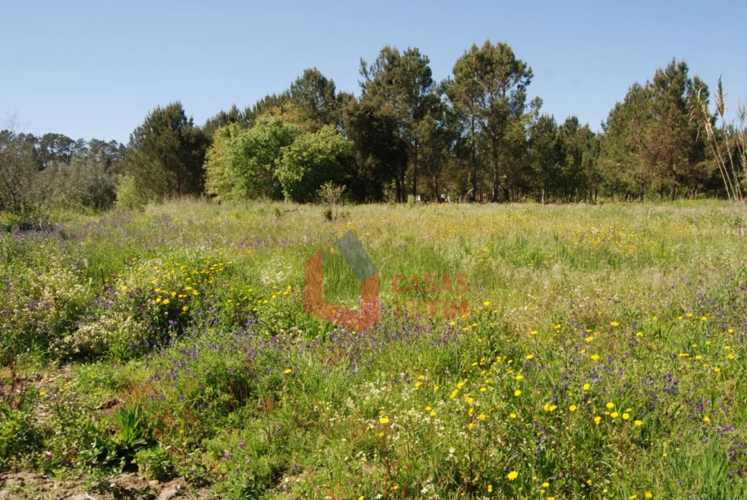 Terreno Agricola ou Rústico para Venda em Batalha Foto 4