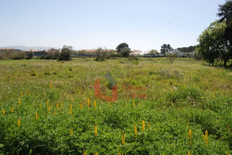 Terreno Agricola ou Rústico para Venda em Batalha Foto 1