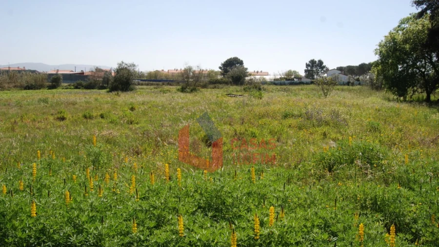 Terreno Agricola ou Rústico para Venda em Batalha