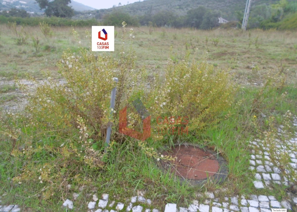 Terreno para Venda em Porto de Mós - São João Baptista e São Pedro Foto 5