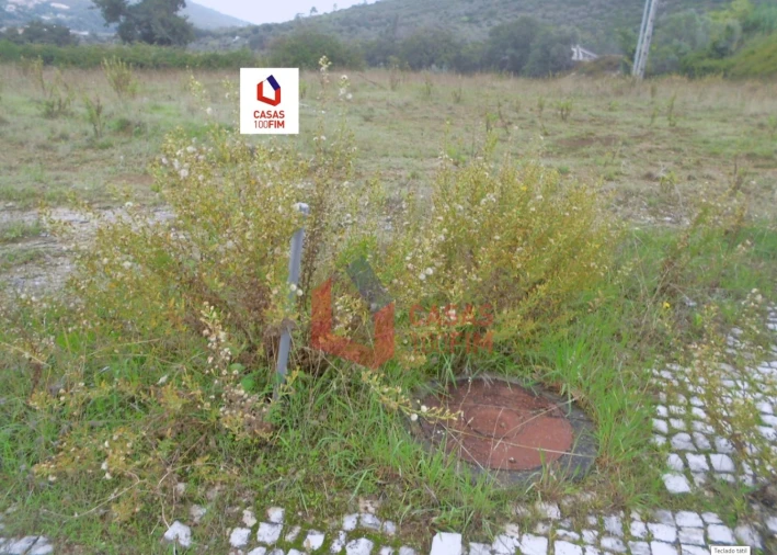 Terreno para Venda em Porto de Mós - São João Baptista e São Pedro Foto 5