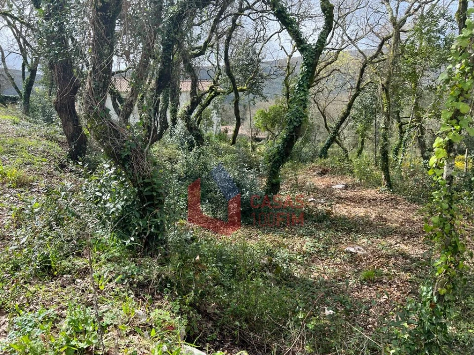 Terreno para Venda em Alvados e Alcaria Foto 1