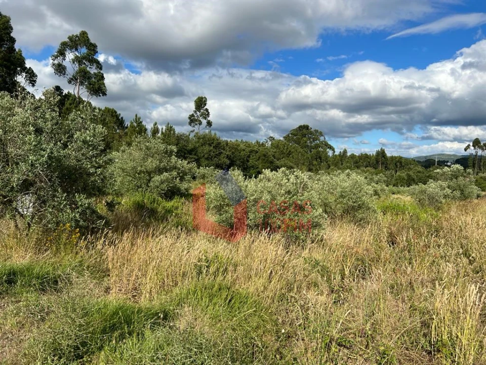 Terreno Agricola ou Rústico para Venda em Calvaria de Cima Foto 1
