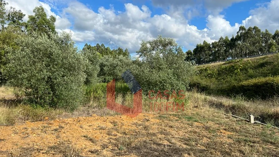 Terreno Agricola ou Rústico para Venda em Calvaria de Cima