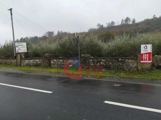 Terreno Agricola ou Rústico para Venda em Reguengo do Fetal Foto 1