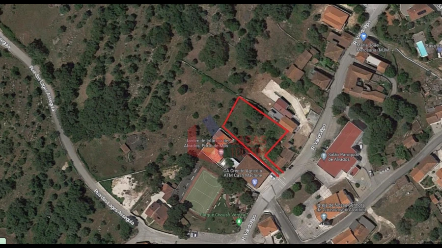 Terreno para Venda em Alvados e Alcaria
