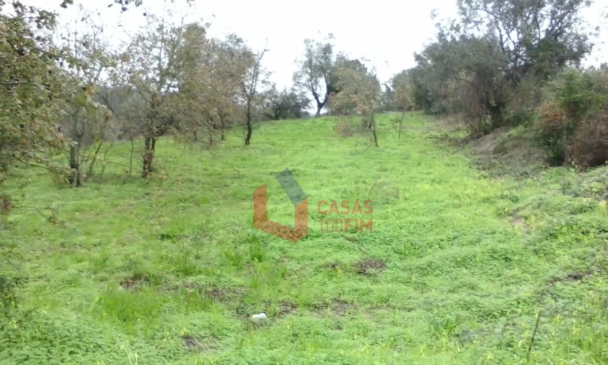 Terreno Agricola ou Rústico para Venda em Juncal Foto 5