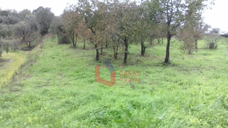 Terreno Agricola ou Rústico para Venda em Juncal