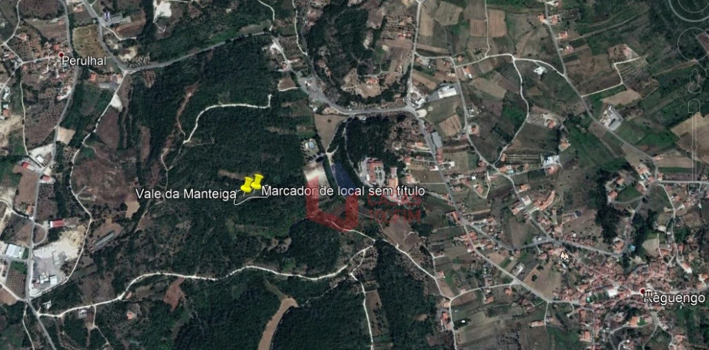 Terreno Agricola ou Rústico para Venda em Reguengo do Fetal Foto 1