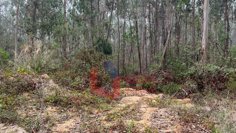 Terreno Agricola ou Rústico para Venda em Juncal