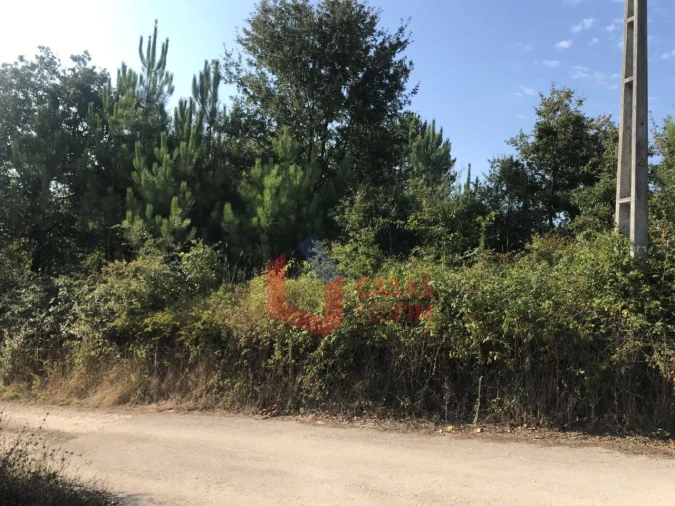 Terreno para Venda em Calvaria de Cima Foto 1