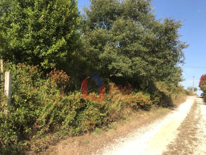 Terreno para Venda em Calvaria de Cima Foto 3