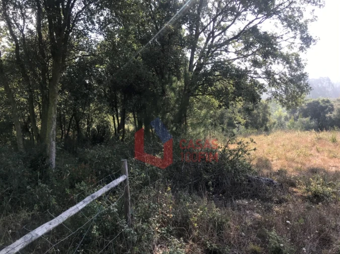 Terreno para Venda em Calvaria de Cima Foto 4