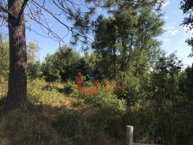 Terreno para Venda em Calvaria de Cima Foto 5