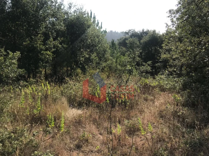 Terreno para Venda em Calvaria de Cima Foto 6