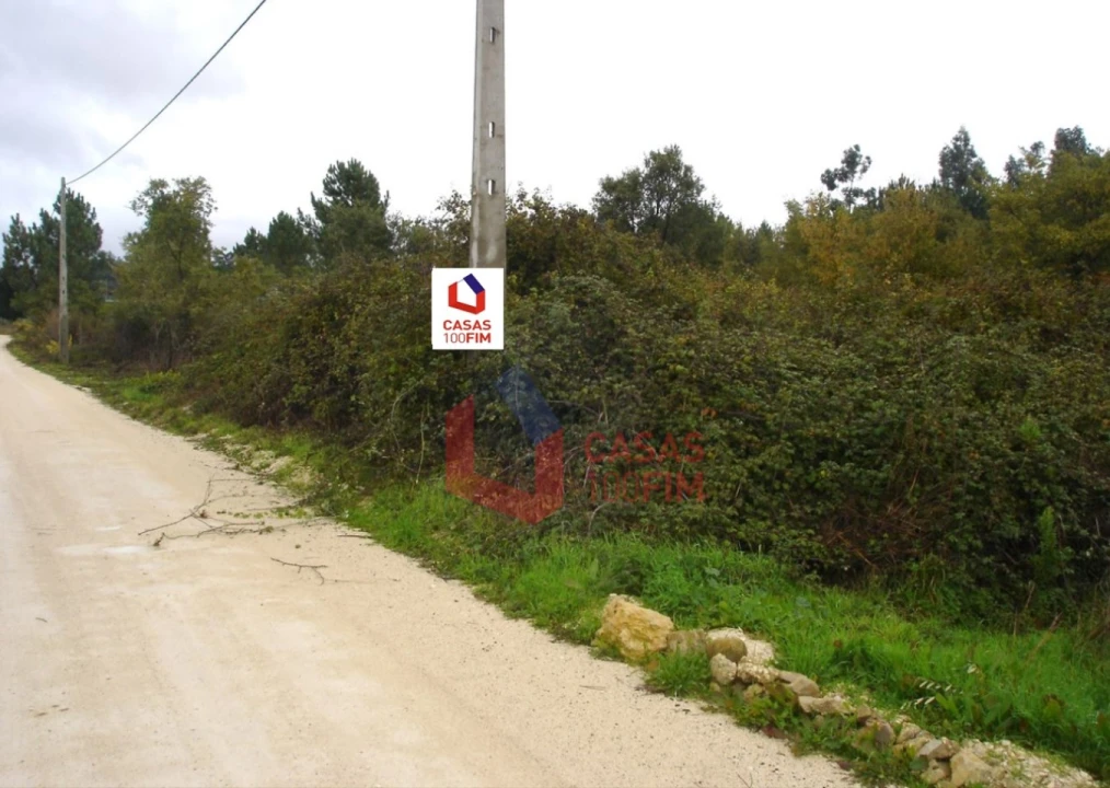 Terreno Agricola ou Rústico para Venda em Porto de Mós - São João Baptista e São Pedro Foto 1