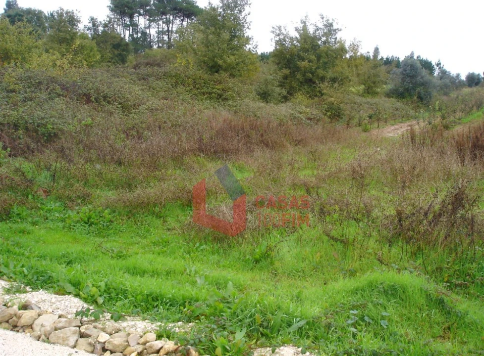 Terreno Agricola ou Rústico para Venda em Porto de Mós - São João Baptista e São Pedro Foto 3